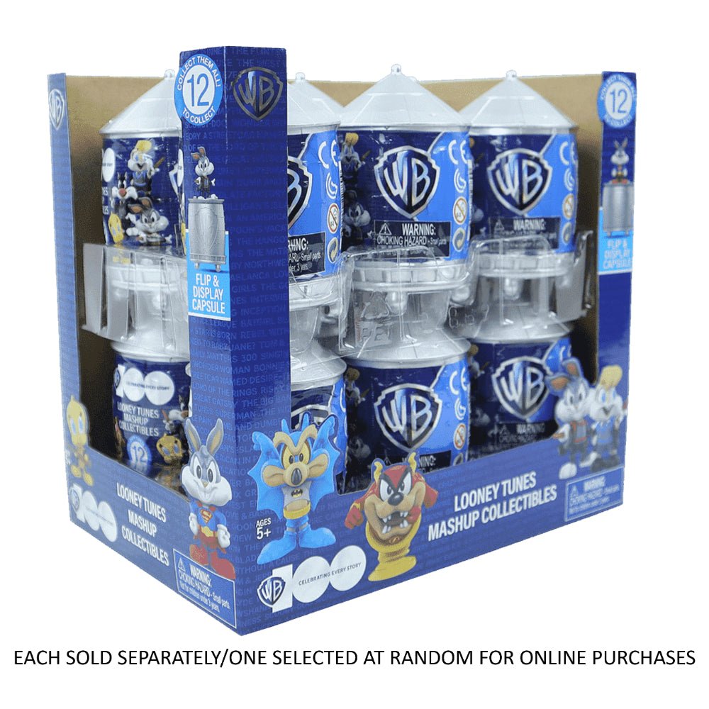 WB100 2.5" Minifigure Mashup Assorted — Figure