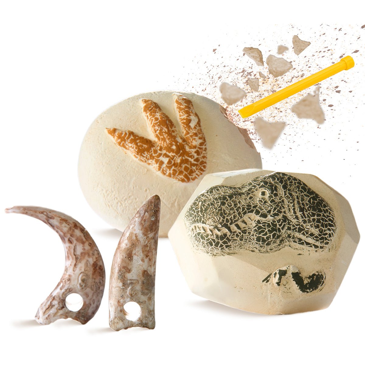 Discovery Toy Excavation Kit Dino 2pc - Image 4