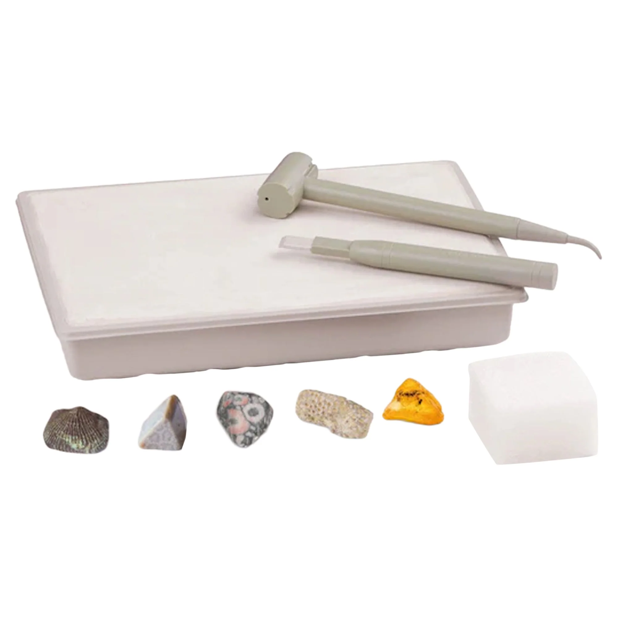 Thames & Kosmos I Dig It! Fossils - Real Fossils Excavation Kit — Can - Image 2